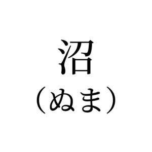 沼